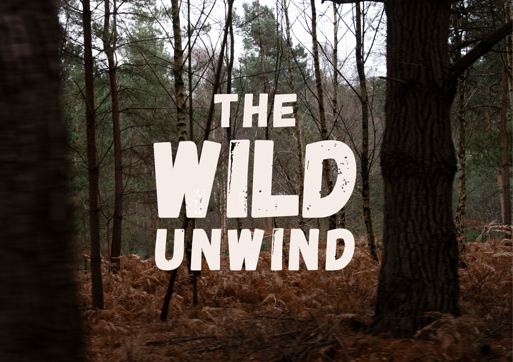 The Wild Unwind web graphic